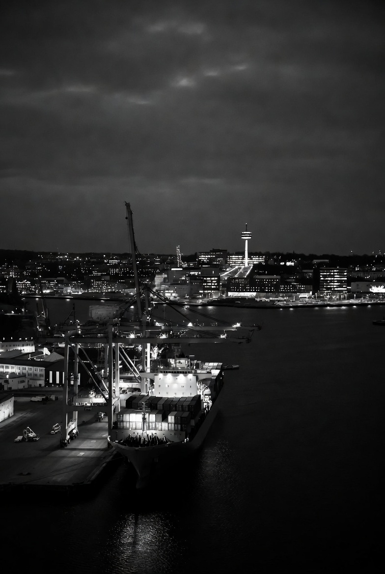 Port with container ships